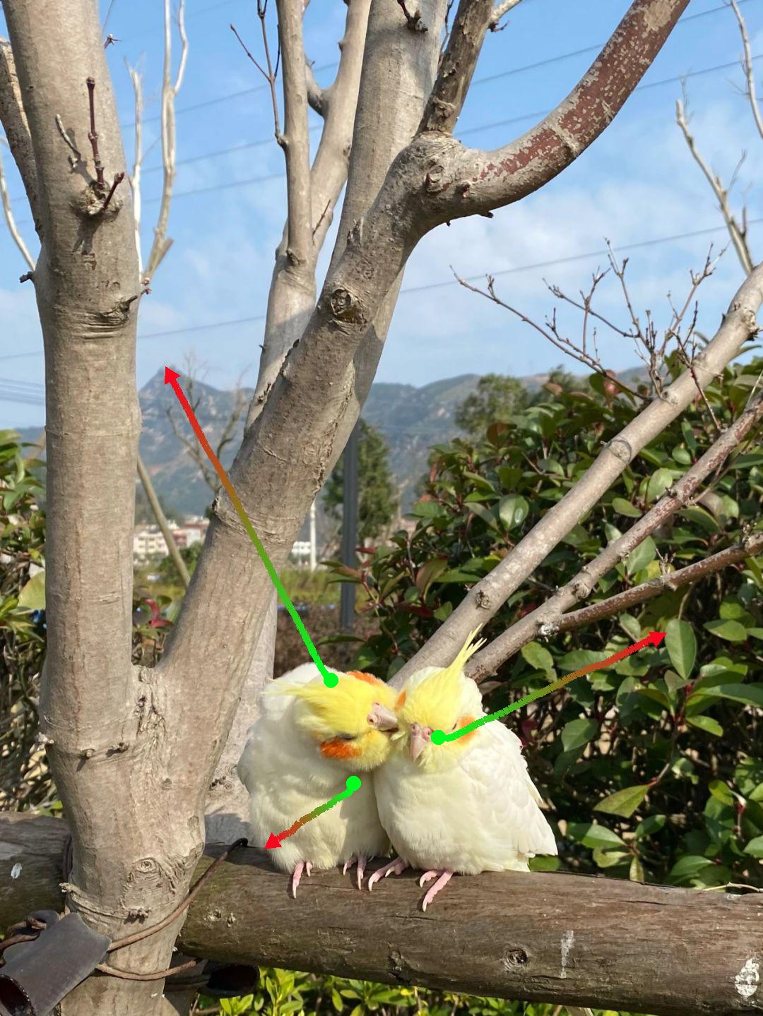 ATI | ByteDance Intelligent Creation